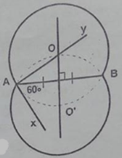 Bài 52 SBT Toán 9 Tập 2 trang 61