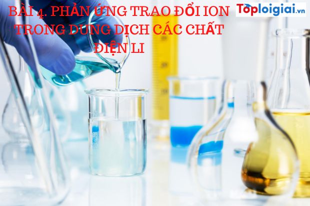 Lý thuyết Hóa 11: Bài 4. Phản ứng trao đổi ion trong dung dịch các chất điện li | Giải Hóa 11