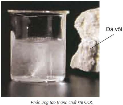 Lý thuyết Hóa 11: Bài 4. Phản ứng trao đổi ion trong dung dịch các chất điện li | Giải Hóa 11