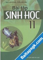 Có bào nhiều chiều hướng tiến hóa của hệ tuần hoàn ở động vật