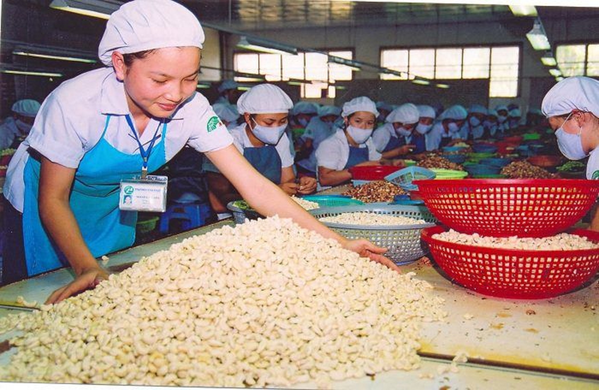 Công ty xuất khẩu hạt điều lớn nhất Việt Nam