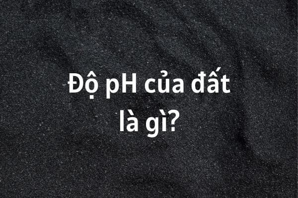 Độ pH của đất phèn là bao nhiêu