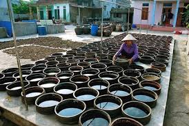 Em sẽ làm gì để góp phần bảo tồn và phát triển các làng nghề truyền thống ở Đà Nẵng