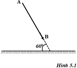 Giải SBT Vật Lí 7 | Giải bài tập Sách bài tập Vật Lí 7 Bai 3 Trang 15 Sach Bai Tap Vat Li 7