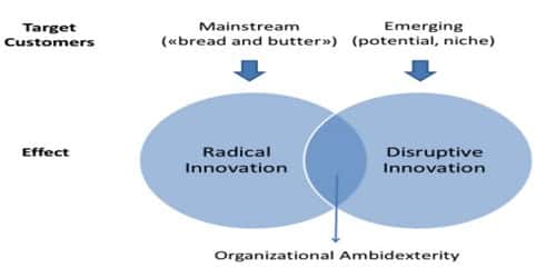 How do you distinguish between incremental innovation and radical  innovation in automotive technology?