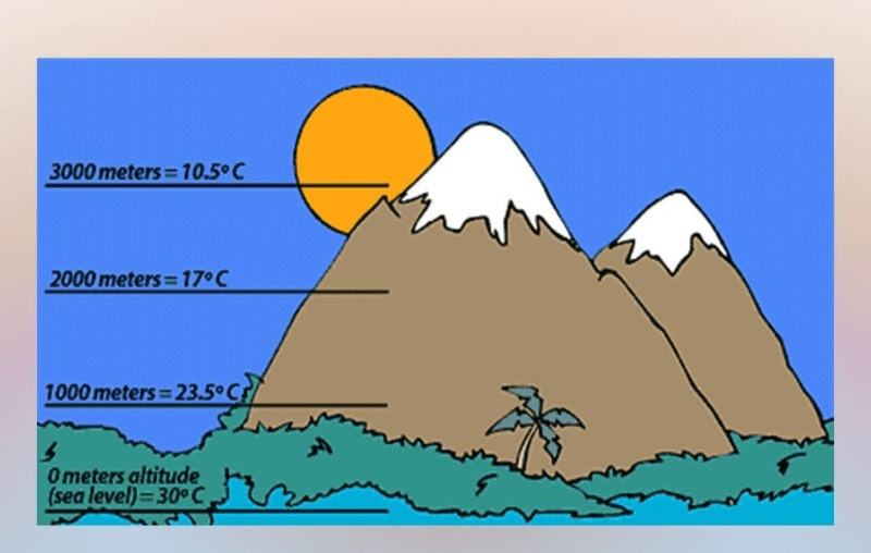 Khi đo nhiệt độ không khí người ta phải để nhiệt kế trong bóng râm và cách mặt đất 1,5 m vì