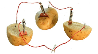 Laporan kegiatan percobaan membuat listrik dari kentang