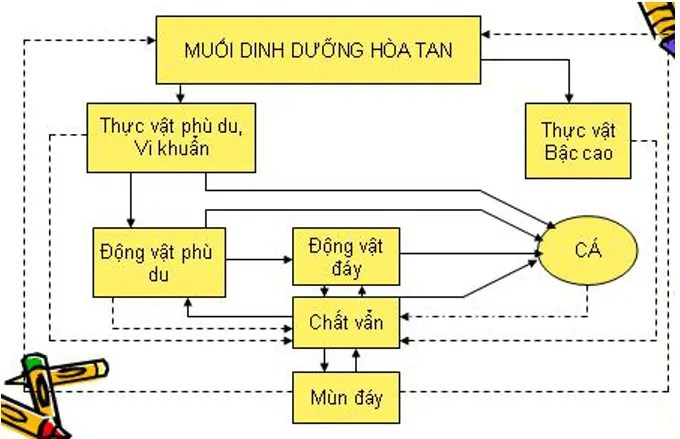 Giải bài tập Công nghệ 10 | Giải Công nghệ 10 Tra Loi Cau Hoi Cong Nghe 10 Bai 31 Trang 90