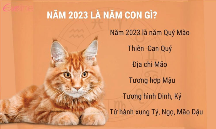 Năm 2023 là năm con gì vậy