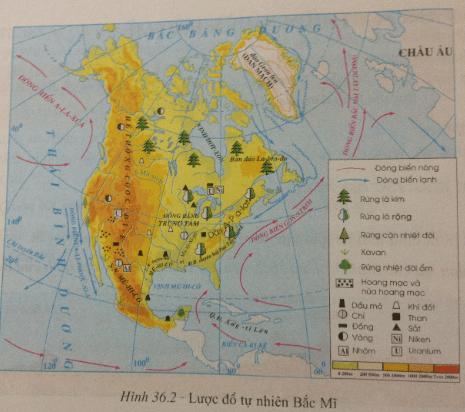 Mô tả đặc điểm địa hình của Bắc Mỹ