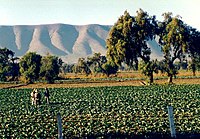 Puebla farmers.jpg