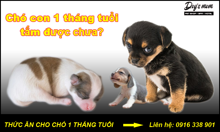 Thuc don cho cho con 1 thang tuoi