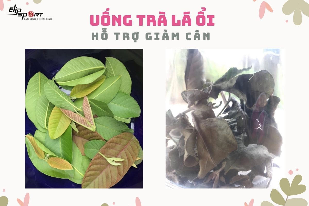 trà ổi giảm cân